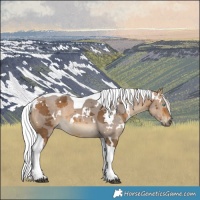 Horse Color:White Spotted Silver Buckskin Merle Tobiano 