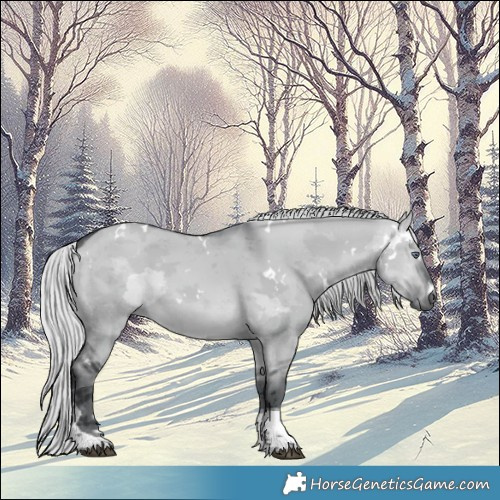 Horse Color:White Spotted Silver Brown Chinchilla Dun Merle Tobiano 