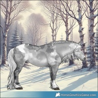Horse Color:White Spotted Silver Brown Chinchilla Dun Merle Tobiano 
