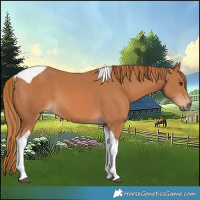 Horse Color:Chestnut Tobiano 
