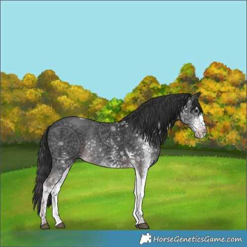 Horse Color:Platinum White Spotted Liver Chestnut Tobiano Rabicano 