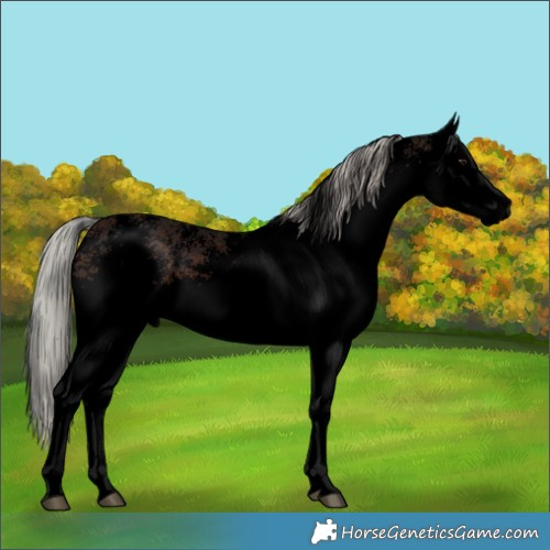 Horse Color:Void White Spotted Silver Brown 
