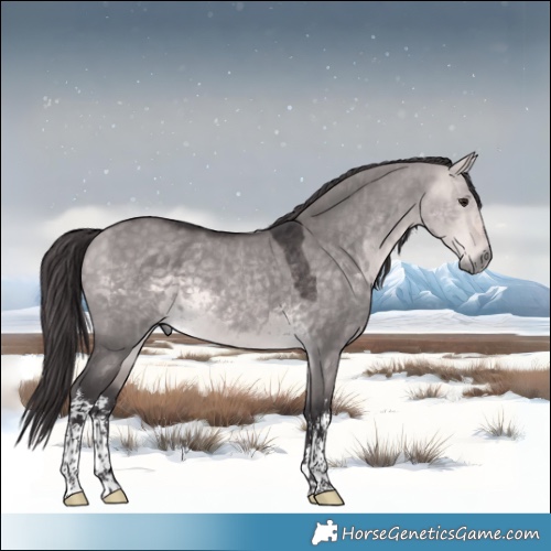 Horse Color:Platinum White Spotted Buckskin Dun 