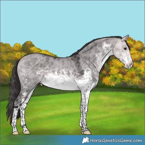 Horse Color:Platinum White Spotted Buckskin Dun Sabino 