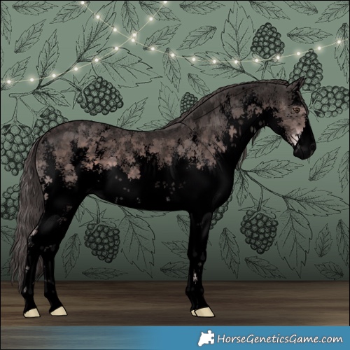 Horse Color:Void Platinum White Spotted Liver Chestnut Sabino