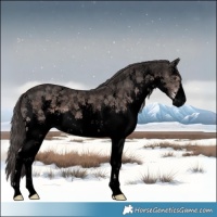 Horse Color:Void Platinum White Spotted Liver Chestnut Sabino 