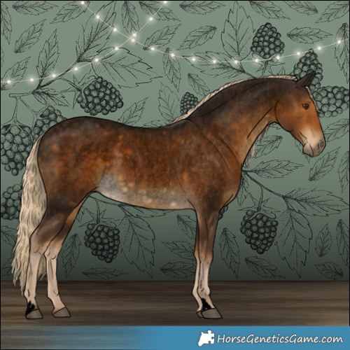 Horse Color:Void Chocolate Palomino Roan Rabicano