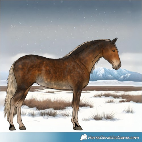 Horse Color:Void Chocolate Palomino Roan Rabicano 