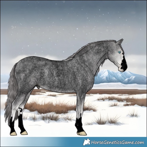 Horse Color:Void Platinum Buckskin Roan Pearl 