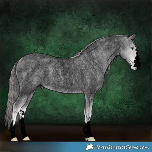 Horse Color:Void Platinum Buckskin Roan Pearl 