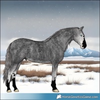 Horse Color:Void Platinum Buckskin Roan Pearl 