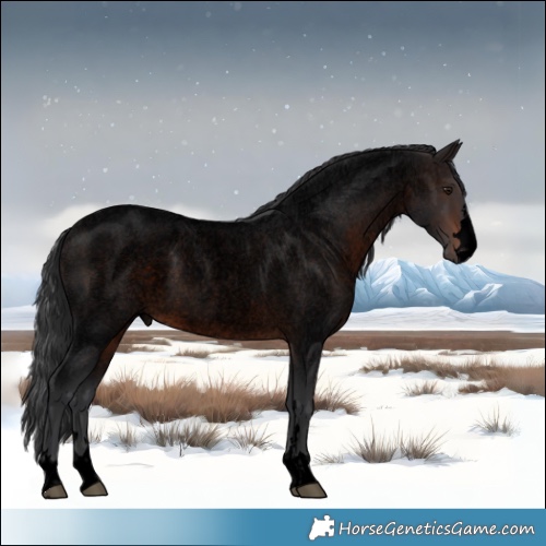 Horse Color:Void Brown Roan 