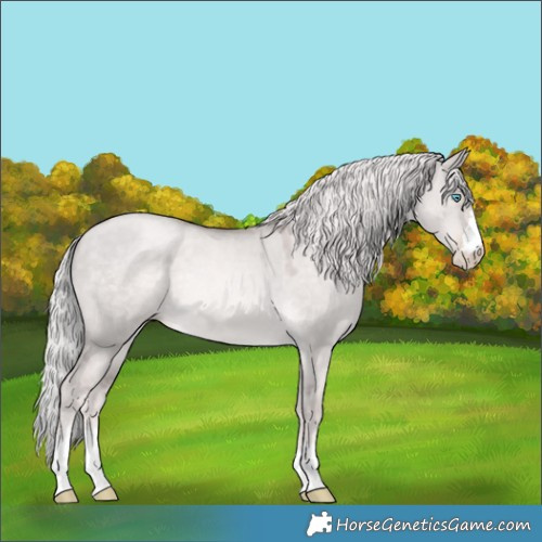 Horse Color:Platinum Chocolate Palomino Pearl Dun Mushroom 