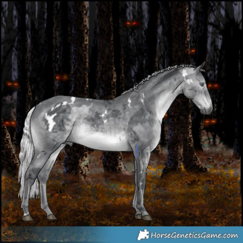 Horse Color:White Spotted Silver Brown Chinchilla Merle 
