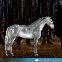 Horse Color:White Spotted Silver Brown Chinchilla Merle 