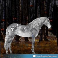 Horse Color:White Spotted Silver Brown Chinchilla Merle 