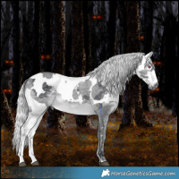 Horse Color:White Spotted Silver Brown Chinchilla Merle 