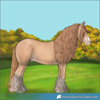Horse Color:Gold Champagne Splash