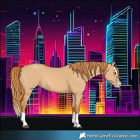 Horse Color:Red Dun Splash 