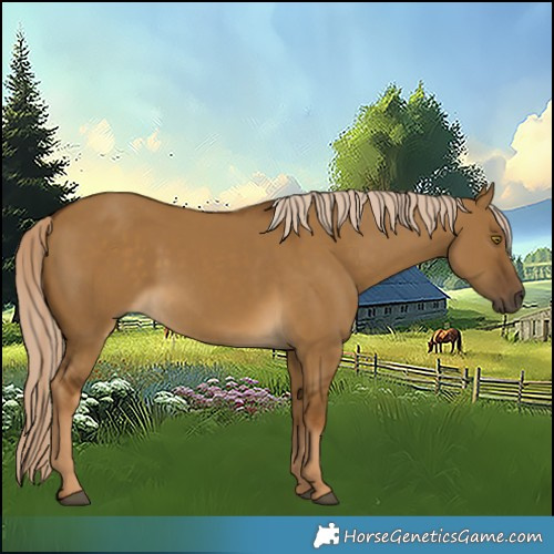 Horse Color:Chocolate Palomino Dun Rabicano 