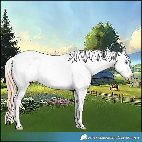 Horse Color:White Spotted Gold Champagne Pearl 