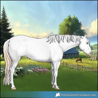 Horse Color:White Spotted Gold Champagne Pearl 