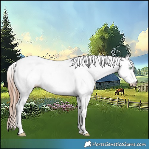 Horse Color:White Spotted Gold Champagne Rabicano 