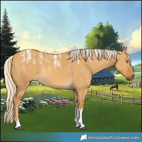 Horse Color:Powder White Palomino Dun Tobiano 