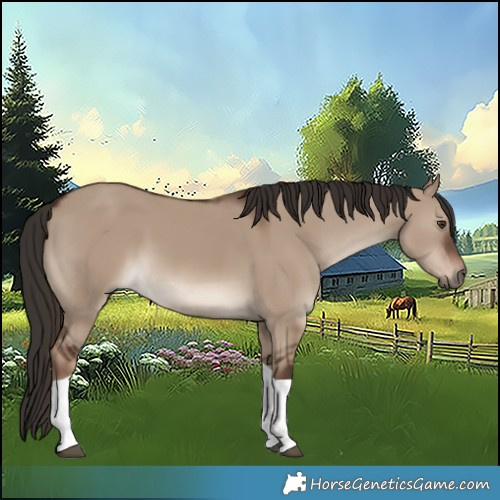 Horse Color:Liver Red Dun Tobiano 