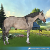 Horse Color:Brown Dun Merle Tobiano