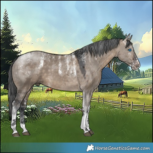 Horse Color:Powder White Brown Dun Merle Tobiano 