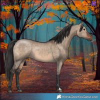 Horse Color:Brown Dun 