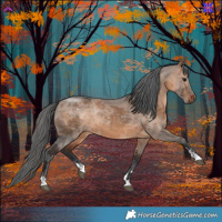 Horse Color:Brown Dun Merle 