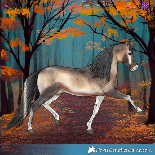 Horse Color:Brown Onyx Merle 
