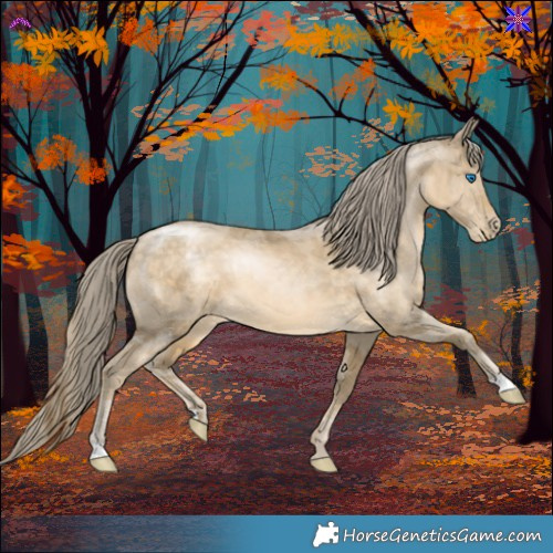 Horse Color:Buckskin Pearl Merle 