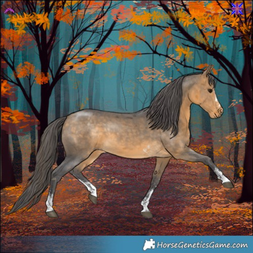 Horse Color:Buckskin Merle Sabino 