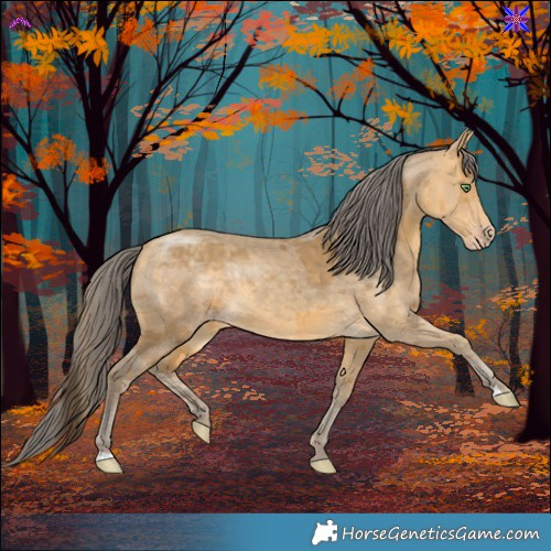 Horse Color:Sable Cream Champagne Merle 