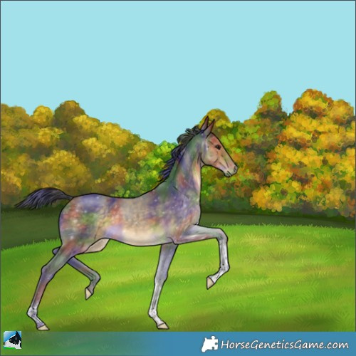 Horse Color:Nacre Buckskin Tobiano 