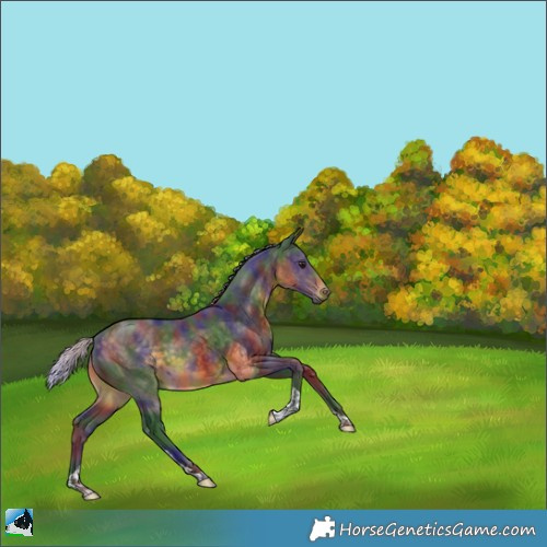 Horse Color:Nacre Silver Buckskin Tobiano 