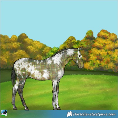 Horse Color:Plaid  White Spotted Brown Ice 