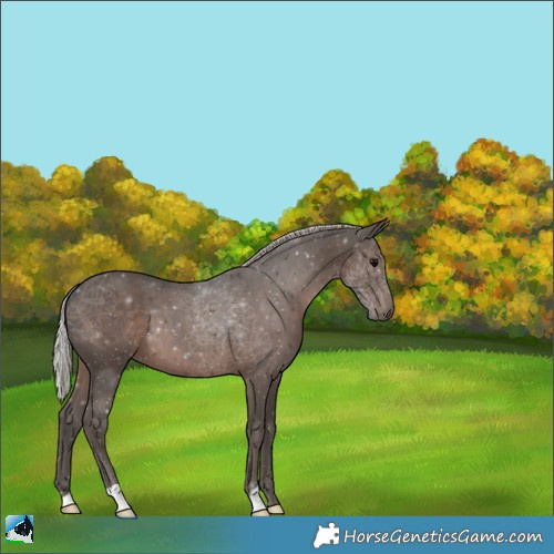 Horse Color:Silver Black 