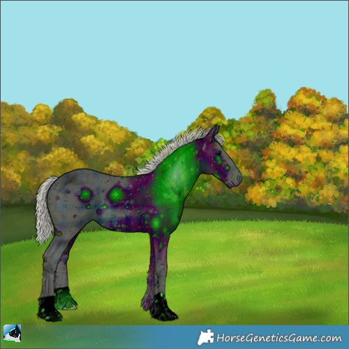 Horse Color:ERROR: UNKNOWN ANOMALY