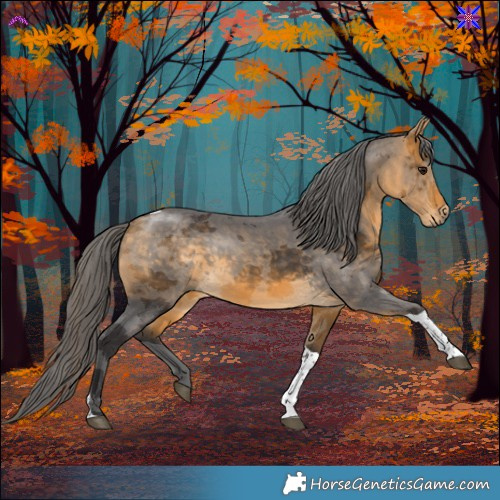 Horse Color:Buckskin Merle Tobiano Rabicano 