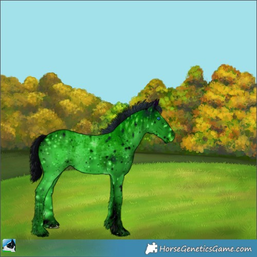 Horse Color:ERROR: UNKNOWN ANOMALY