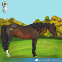 Horse Color:Brown 