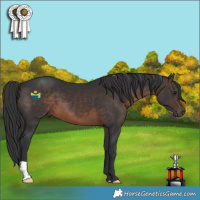 Horse Color:Brown 