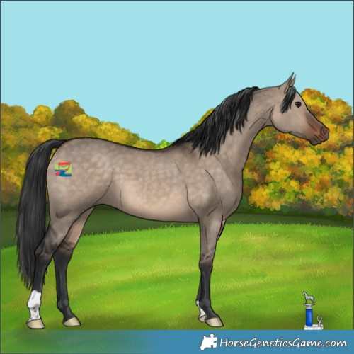 Horse Color:Brown 