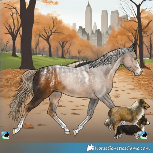 Horse Color:Powder White Chocolate Palomino