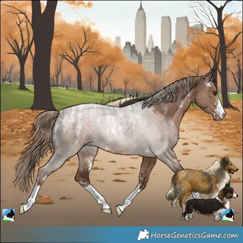 Horse Color:Powder White Liver Red Dun 