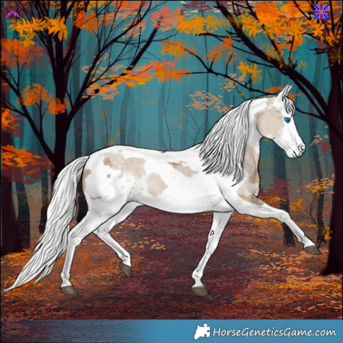 Horse Color:Silver Brown Dun Merle 